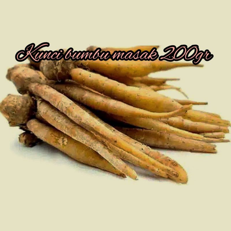 

TEMU KUNCI | KUNCI BUMBU MASAK 200 gr