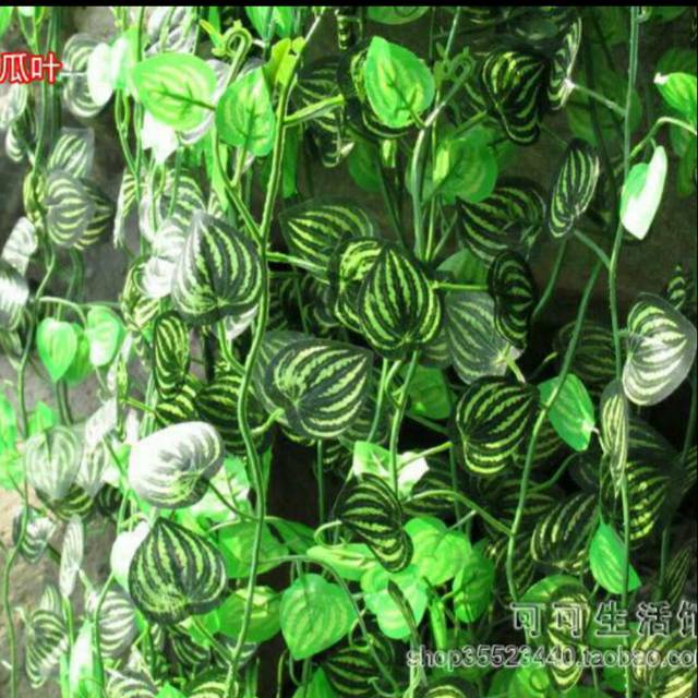 Daun hias daun plastik daun rambat dekorasi pelaminan hiasan pelaminan daun arifisial daun sintetis