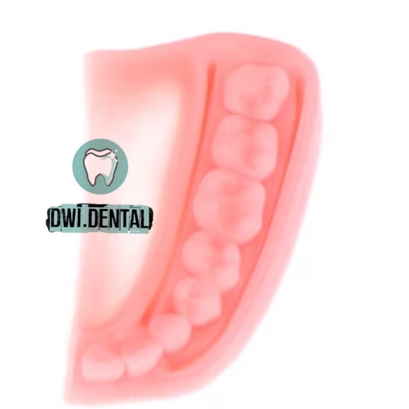 Dental model jahit gigi gusi suture suturing pad