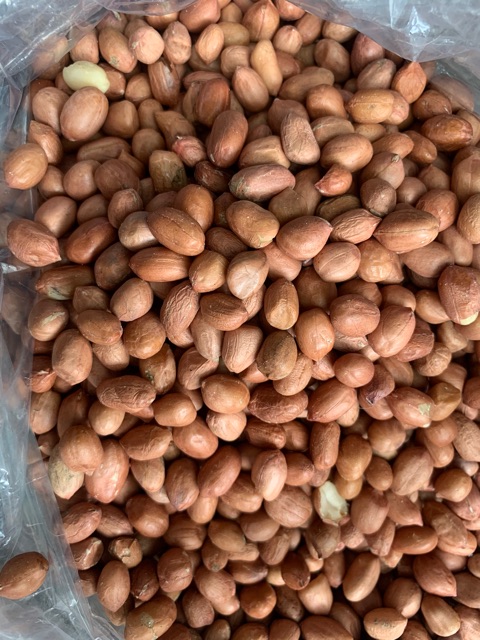 (JSO) Kacang Tanah Kulit Tuban 1 kg