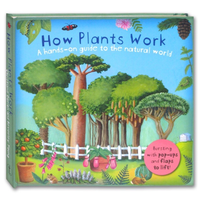 How Plants Work - A hands on guide to the natural world (Bursting with pop-ups and flaps to lift)