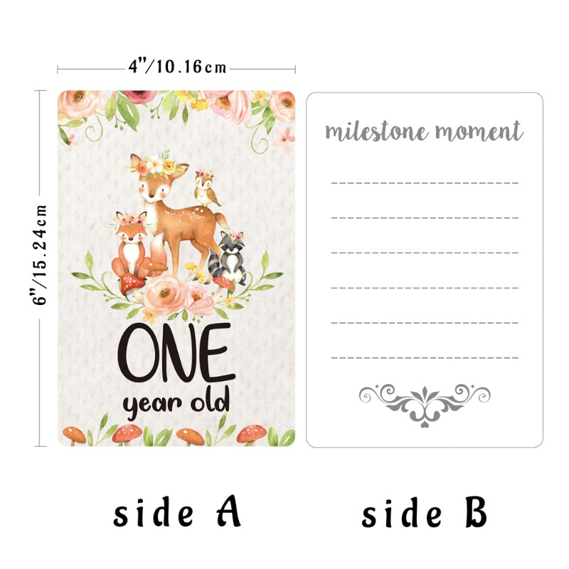 Mary☆ 12 Sheet Baby Monthly Milestone Cards Birth to 12 Months Photo Prop Moment Cards