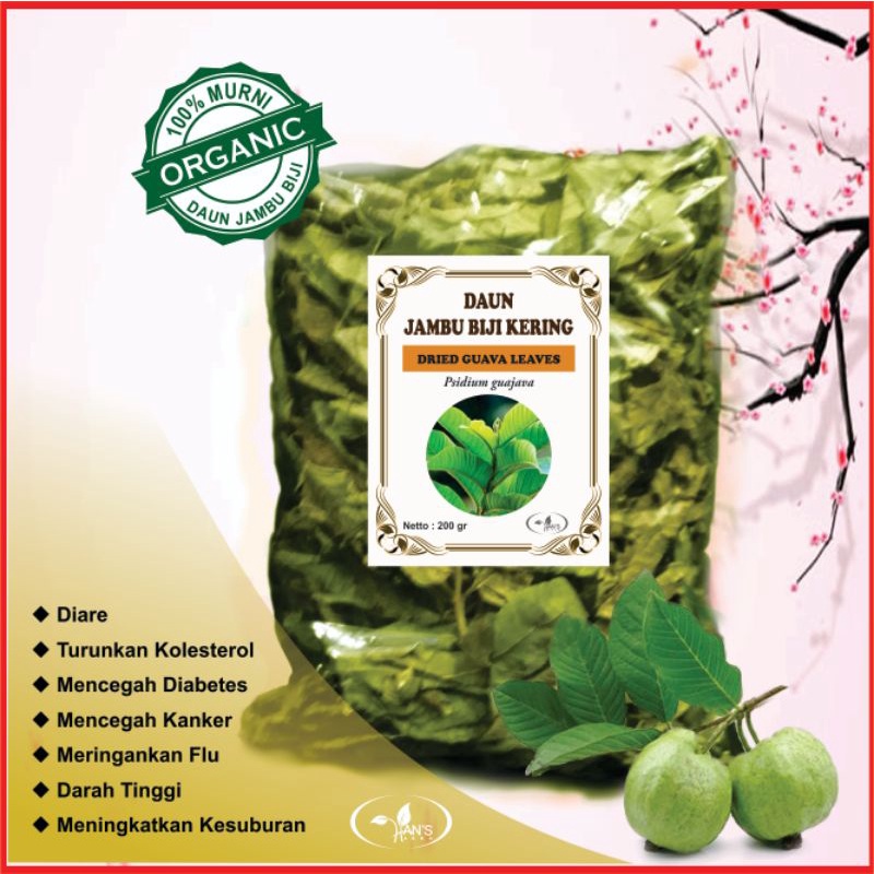 

daun jambu biji kering/Psidium Guajava. 200 gram
