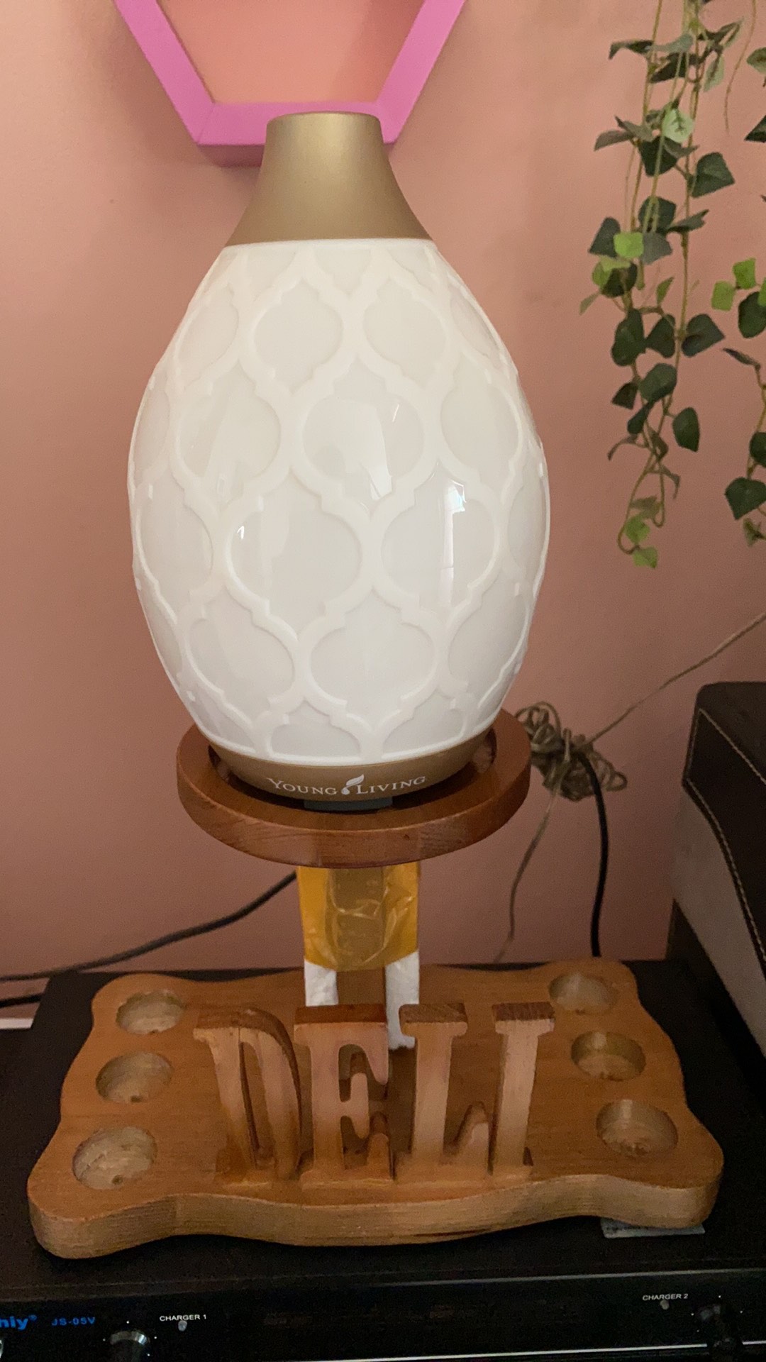 Ready Stock Rak Essential Oils Diffuser Owl Atau Dessert Mist 6 Slot