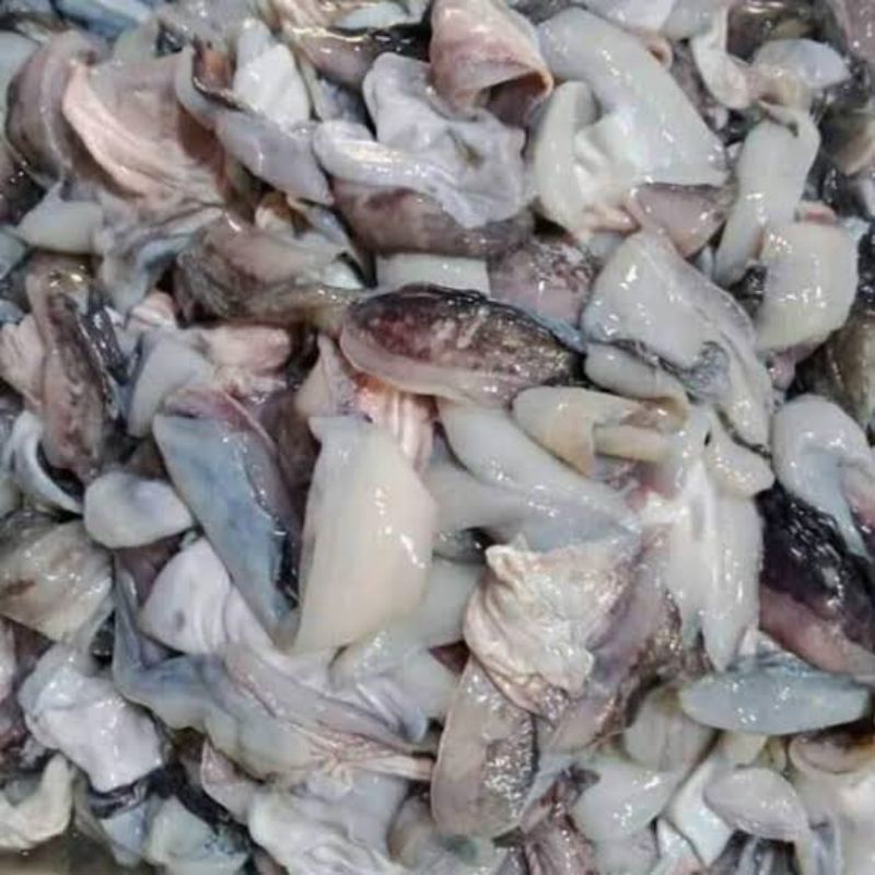 

Sayap cumi fresh segar crispy Frozen 1kg