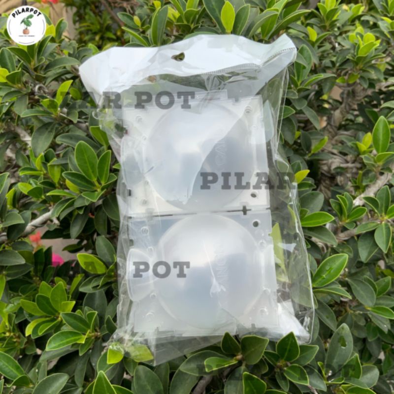 Tempat pot wadah nkt box media cangkok 5 cm - PACK ISI 5 PCS MINI