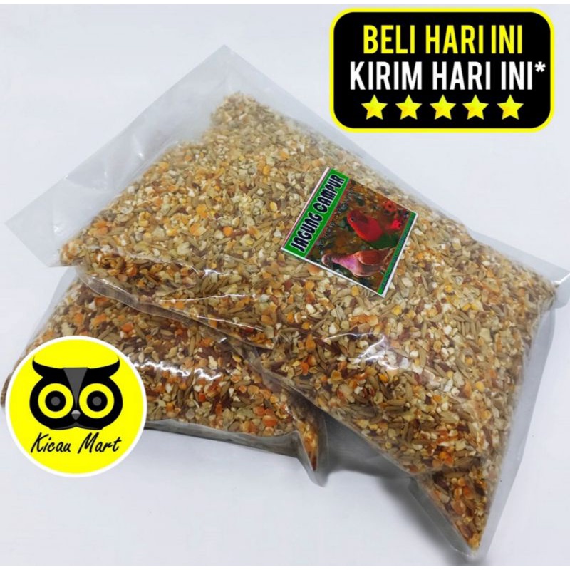 Jagung campur beras merah gabah pakan burung puter terkukur deruk merpati
