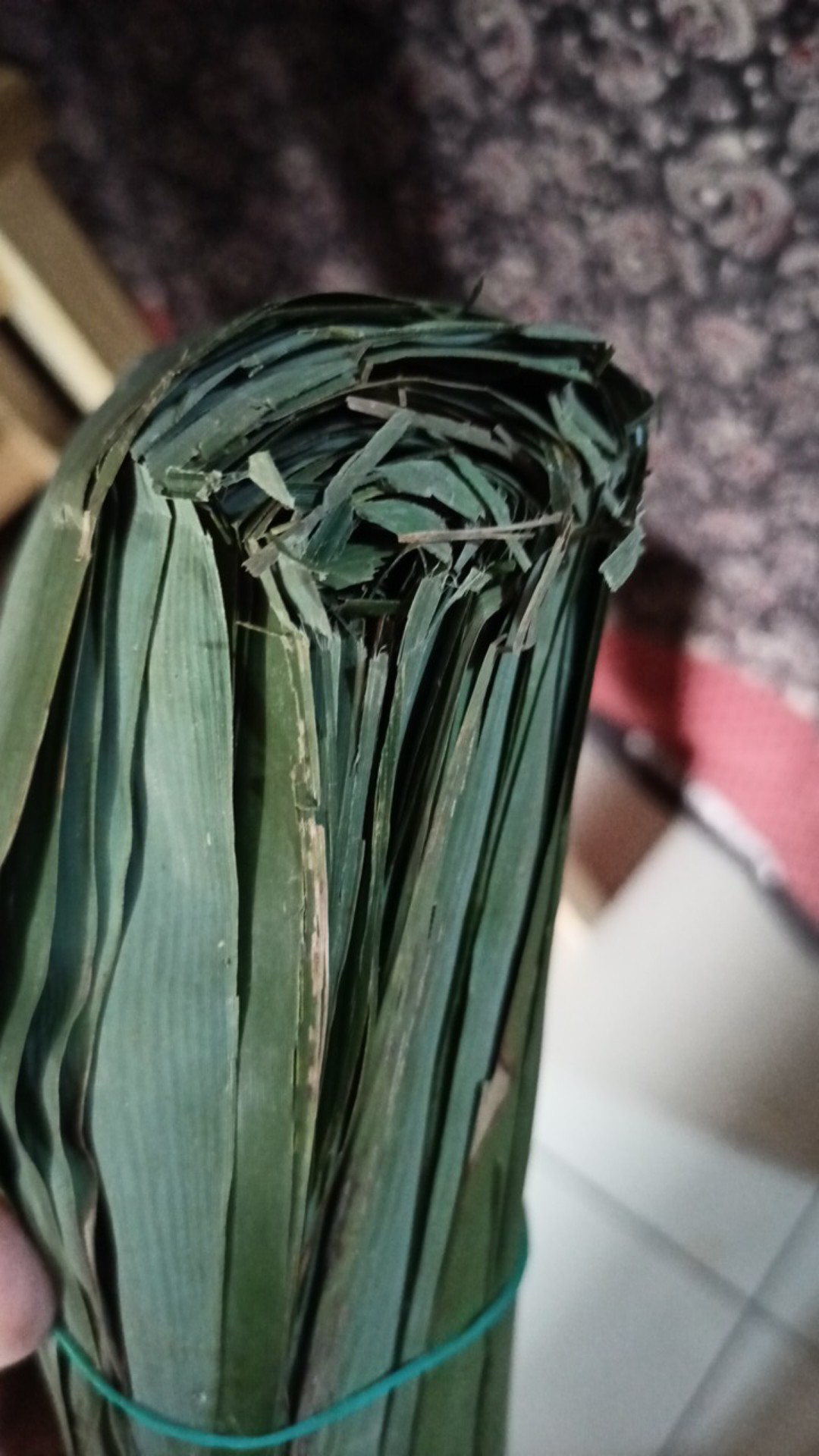 100 Lembar Daun Bambu Bungkus Bacang Bakcang