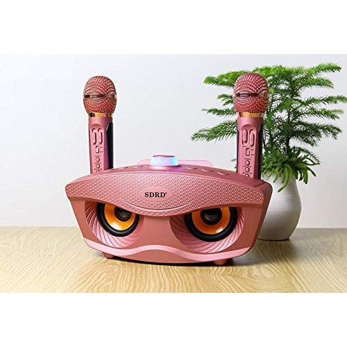 Speaker SD-306 Bluetooth Karaoke Speaker / Speaker Karaoke Bluetooth Speaker Karaoke Mic