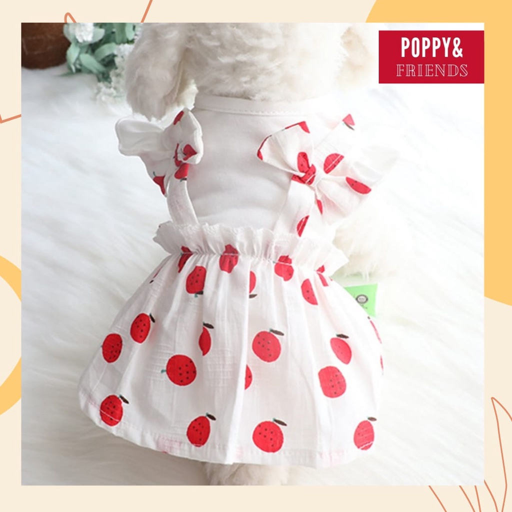 Dress/Rok Anjing Lucu Premium Motif Buah