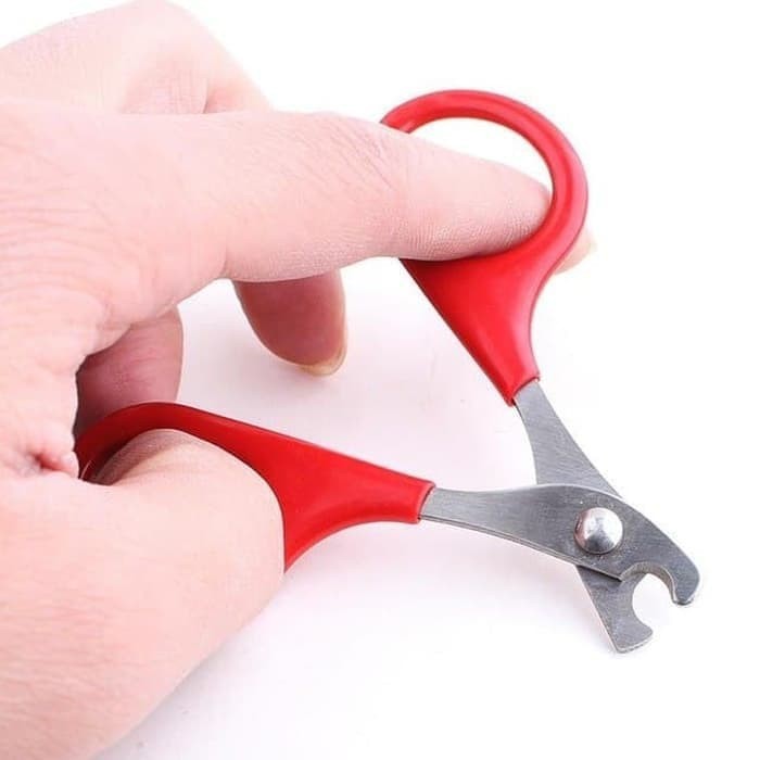 ADEWAP GLIDER Gunting Kuku Hewan Nail Clippers Trimmer Sugar Glider