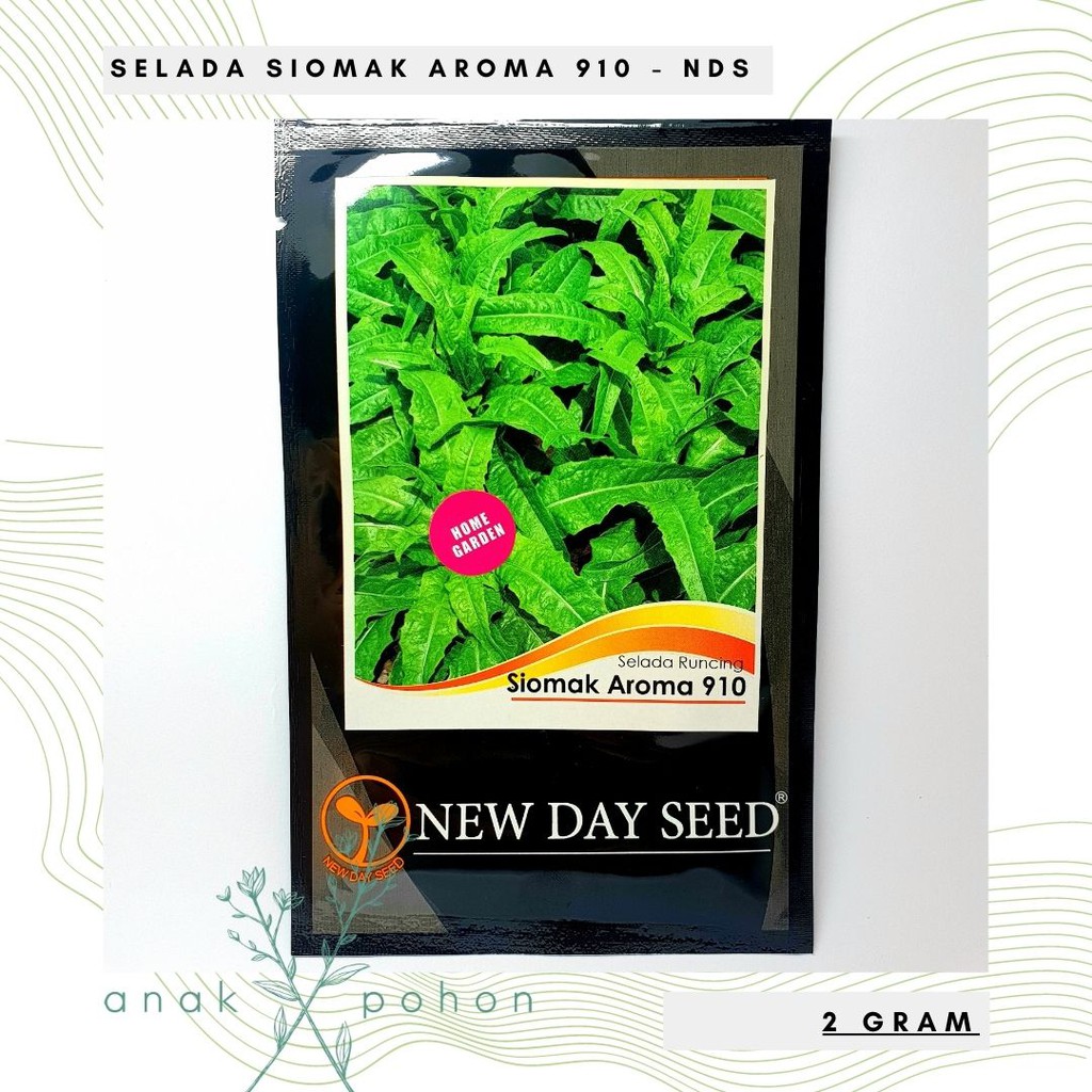 ( 1 PACK ) Benih Selada Runcing Siomak Aroma 910 (Fumak) - NEW DAY SEED