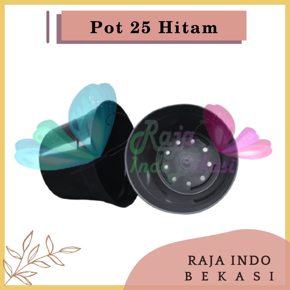 POT 25 HITAM