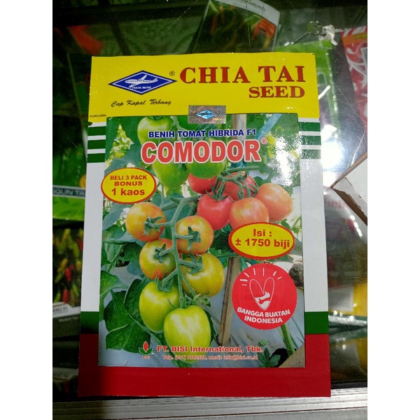 BENIH TOMAT COMODOR