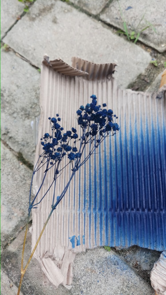 Design Master Blue Semprotan Bunga Pilox Bunga Pewarna Bunga Biru