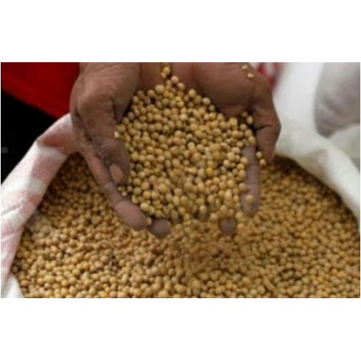 

Kacang Kedelai ( @ 1 Kg )