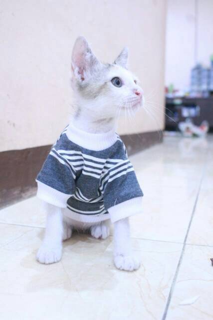 Kaos strip putih abu lengan panjang untuk kucing dan anjing size S M L XL