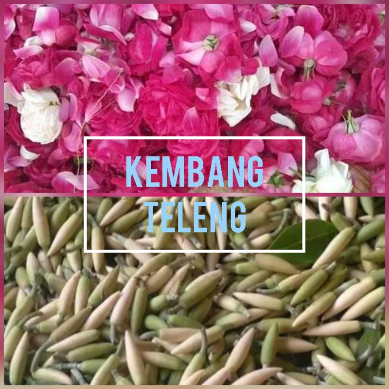 kembang teleng bunga mawar wangi + kantil putih