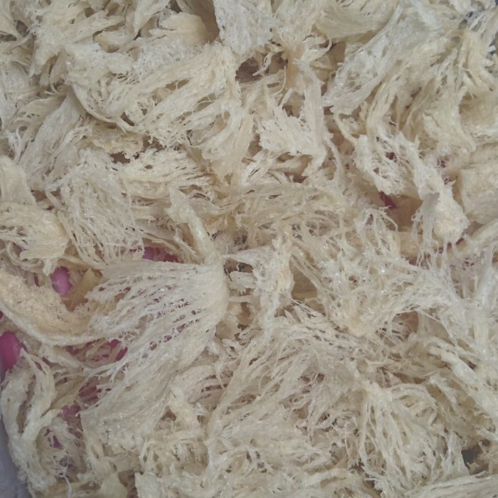 

Sarang burung walet patahan (50gram)