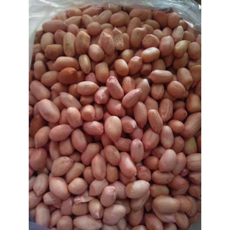 

KACANG TANAH India 250g/500g/1kg