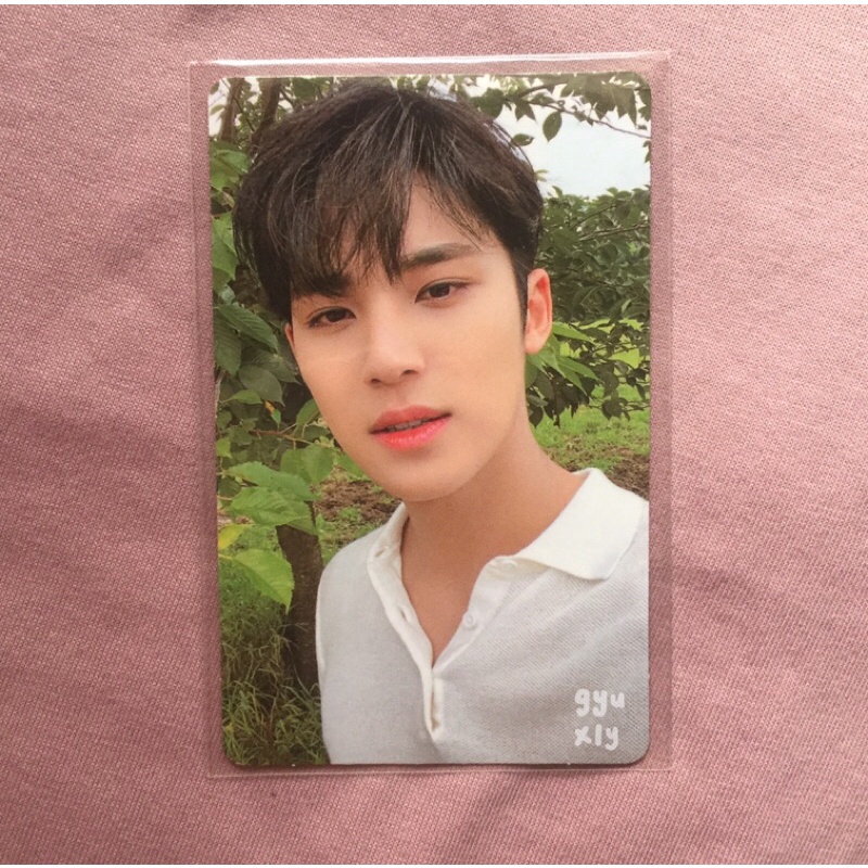 pc photocard mingyu social club da capo