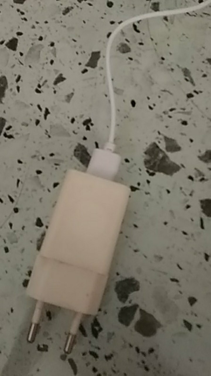 Alat Pengusir Nyamuk Elektrik Lampu Jebakan Pembunuh Nyamuk