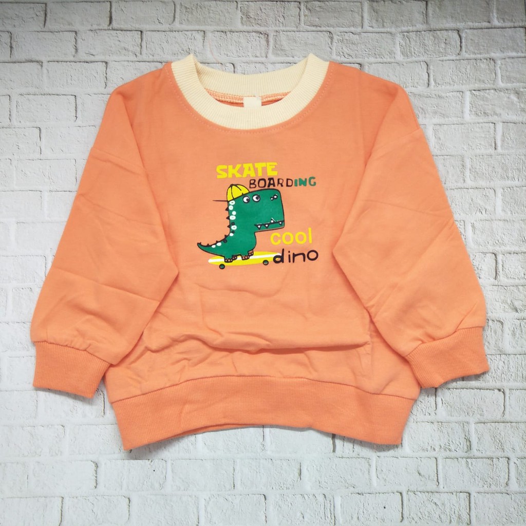 Sweater anak laki laki lucu murah usia 1-5thn 100% import kualitas premium gambar COOL DINO