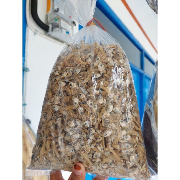 

Ikan Asin Teri