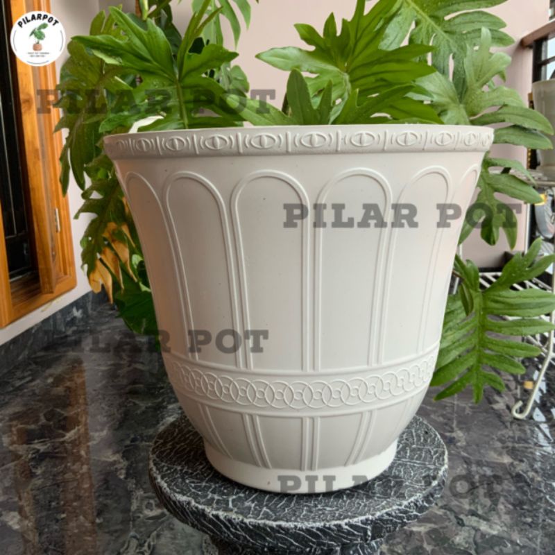 pot bunga tanaman roma putih tinggi 30cm - CJP ROMA PUTIH