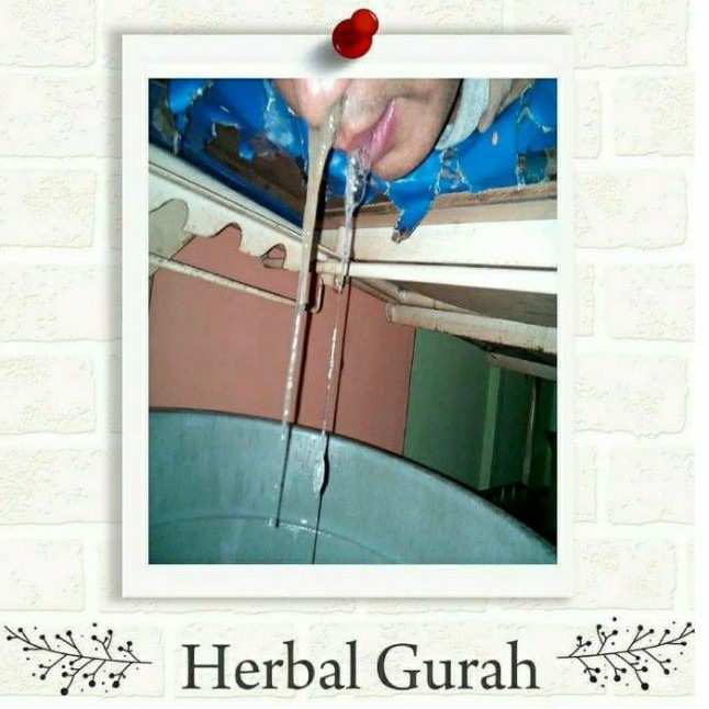 Terapi GURAH Hidung Herbal Kang Hanapi
