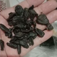 30 Gram Biang Mpot Utuh Mpot Empot Ayam