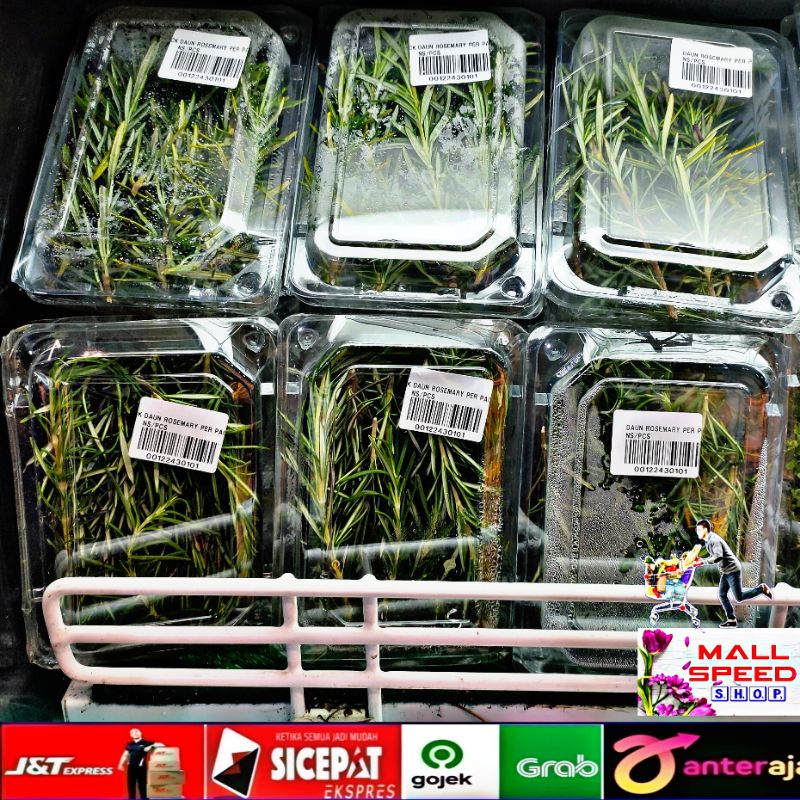 

Daun Rosemary Segar Fresh 1 pack