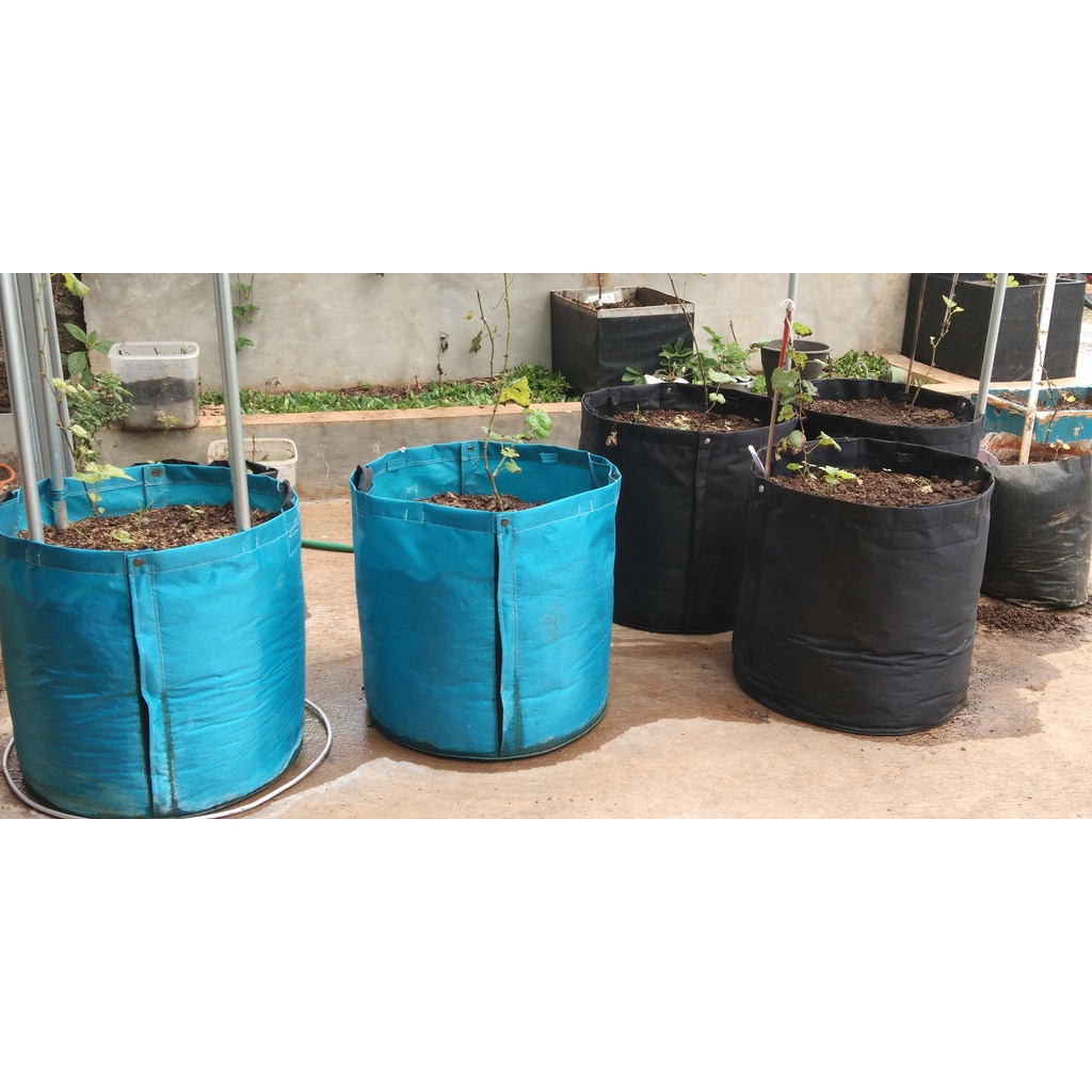 PLANTER BAG POT TANAMAN 100 LITER