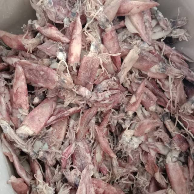 

Cumi Kering/Cumi Asin (sedang)1000gr