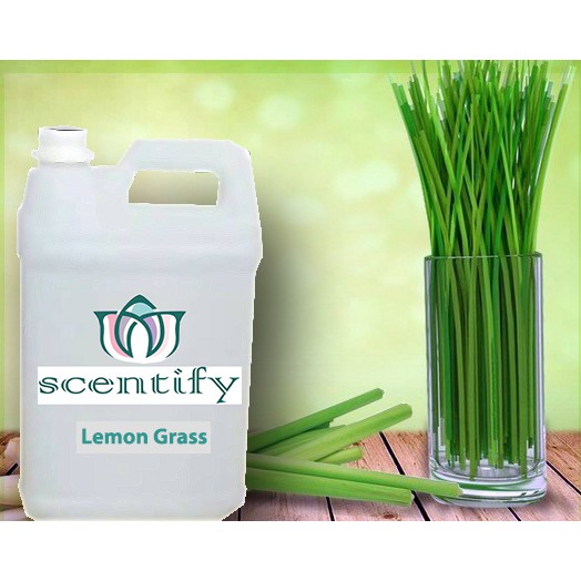 Scentify Oil Essential 1 Liter Lemon Grass (Serai)
