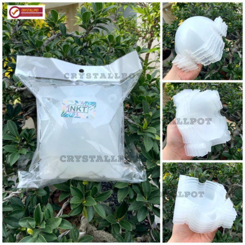 Tempat pot wadah nkt box media cangkok 8cm bening - PACK ISI 3 PCS KECIL