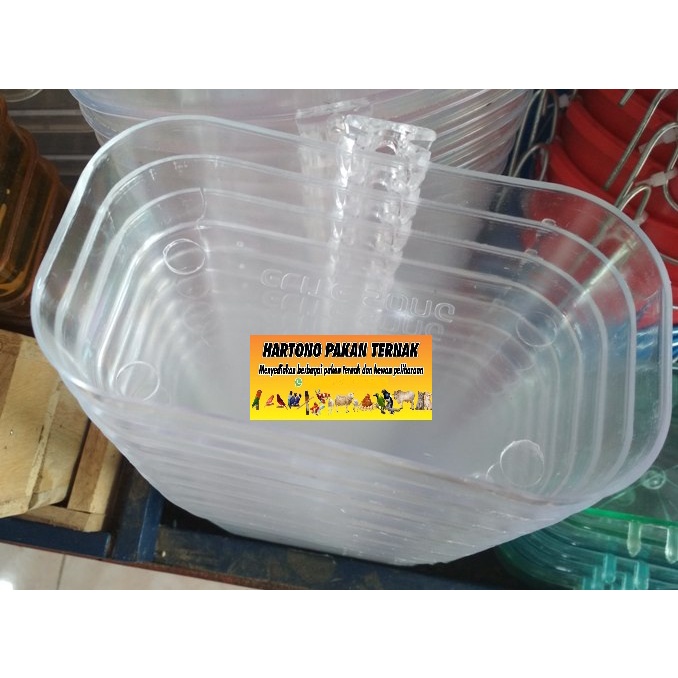 CEPUK MANDI BURUNG KOTAK WADAH MIKA PLASTIK BENING