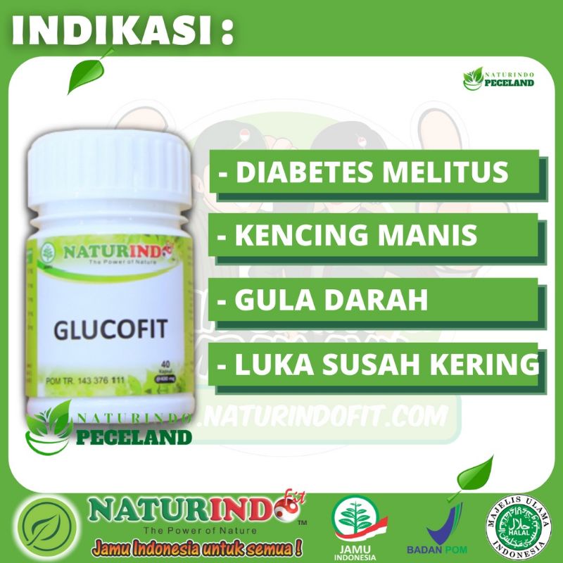 glucofit obat diabetes melitus