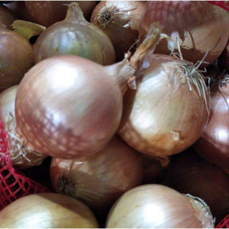 

Bawang Bombay Berat 1 kg (Pengiriman Medan)