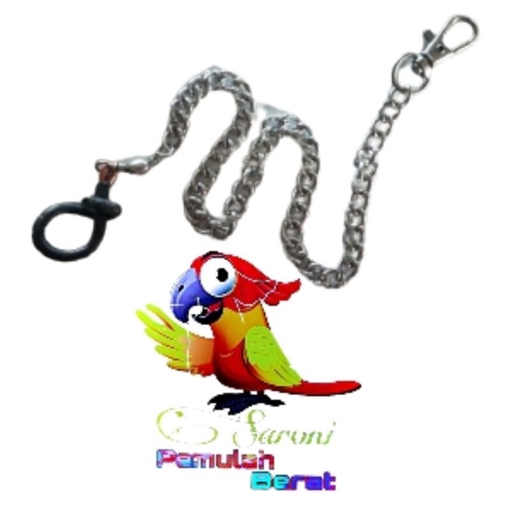 RANTAI NURI MURAH RANTAI BURUNG NURI TEBAL