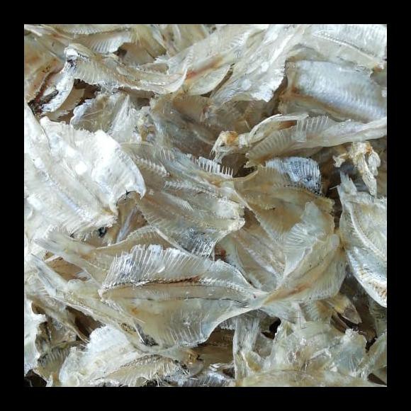 

PROMO! IKAN PAKKANG TAWAR TIPIS BAGUS PER 500GR PALING MURAH