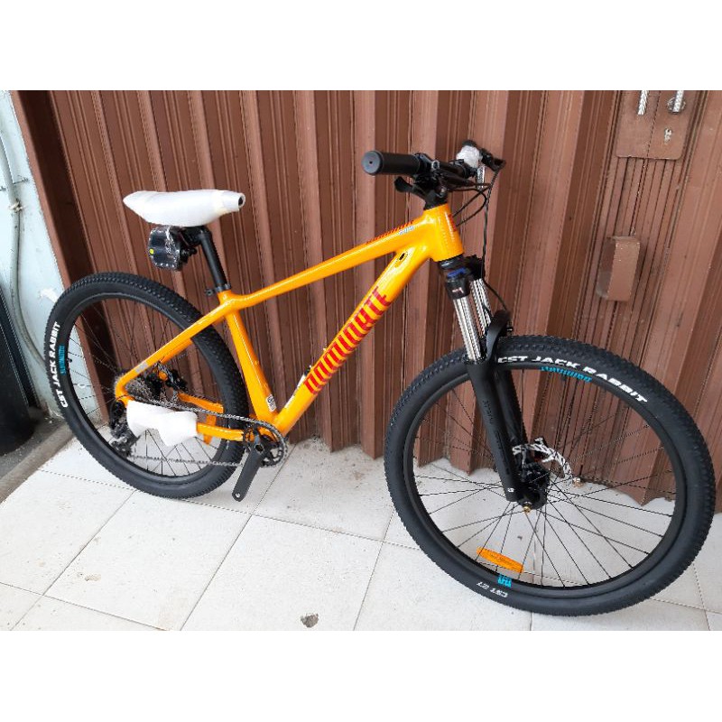 MTB DOMINATE A ONE BASE