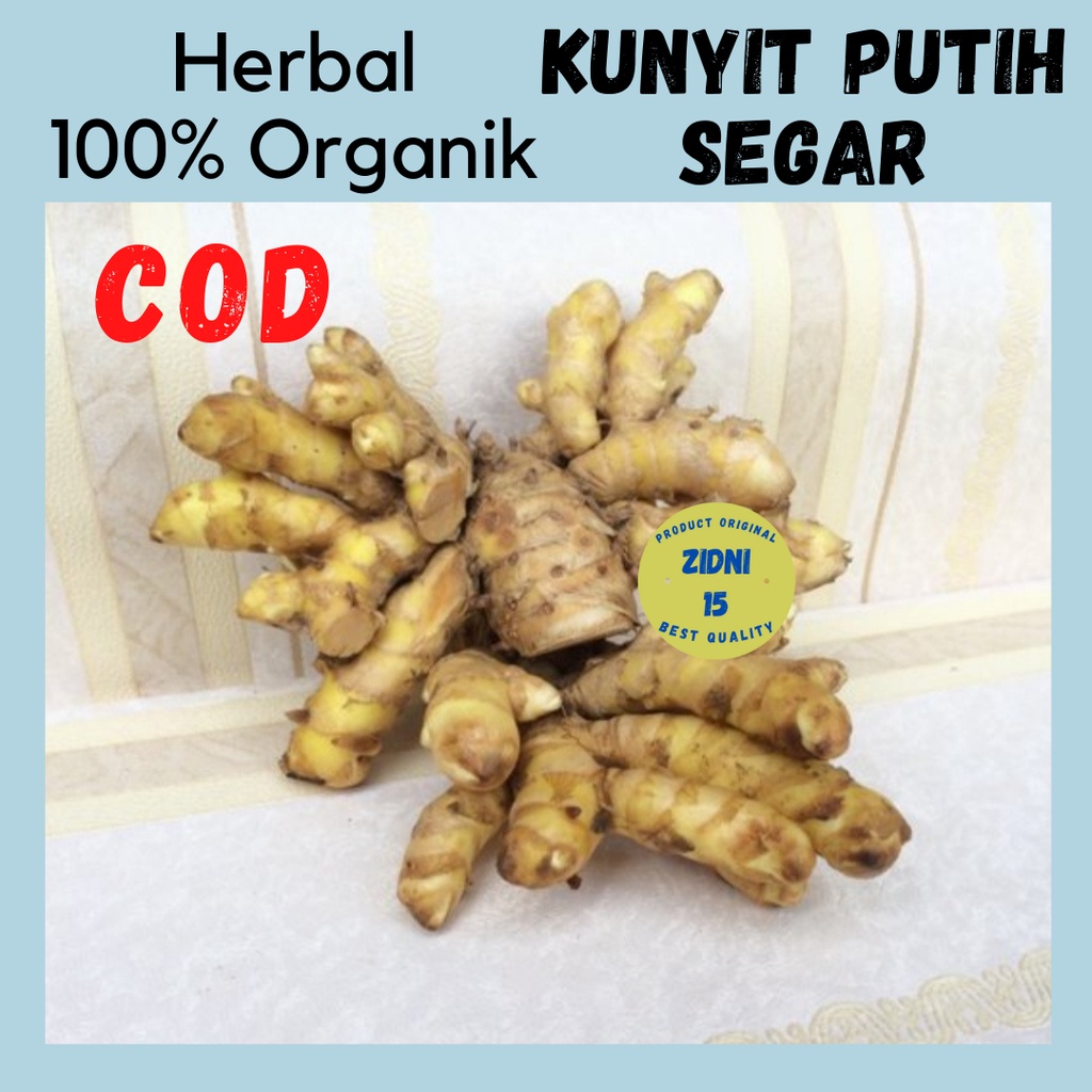 

500g KUNYIT PUTIH SEGAR BAHAN JAMU JAWA DAN HERBAL ORGANIK TEMU PUTIH SEGAR