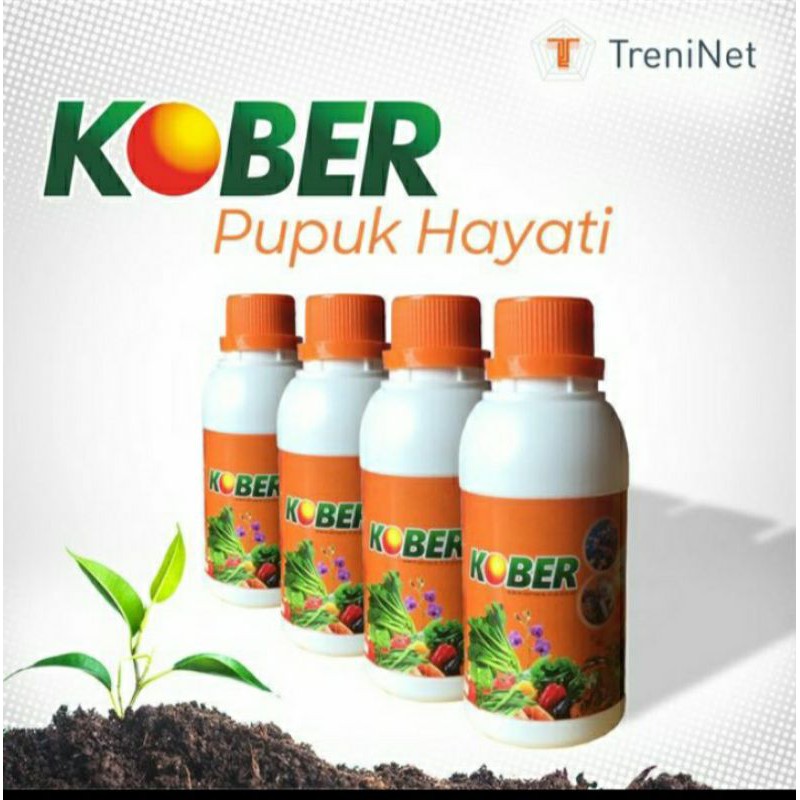 KOBER PUPUK HAYATI