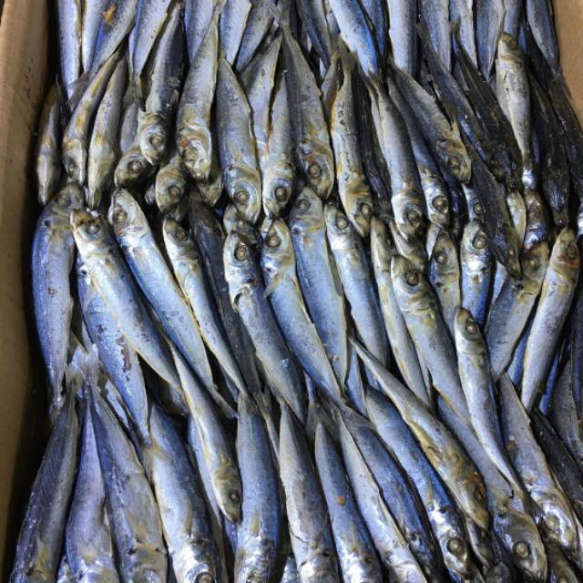 

Gembung asin 500 gr