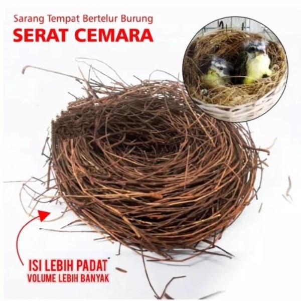 Serat Cemara Sarang Tempat Wadah Bertelur Burung Telur Lovebird Kenari