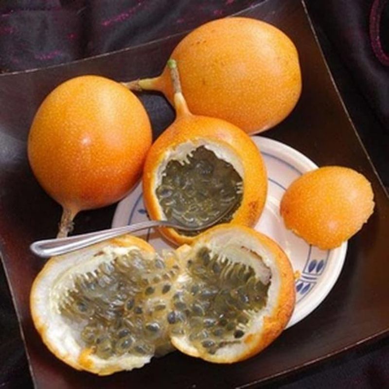 Mini Storeku 50 Benih Markisa Orange Manis