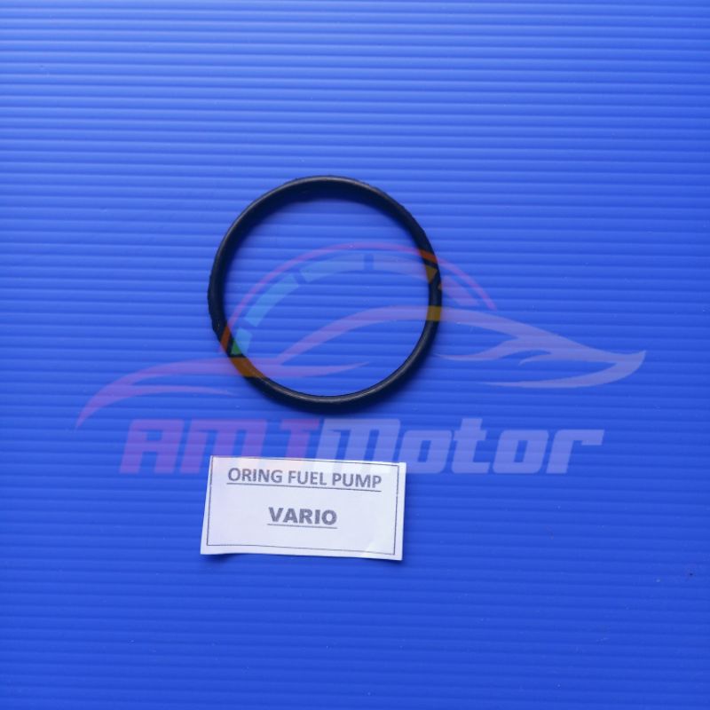 Oring fuel pump vario