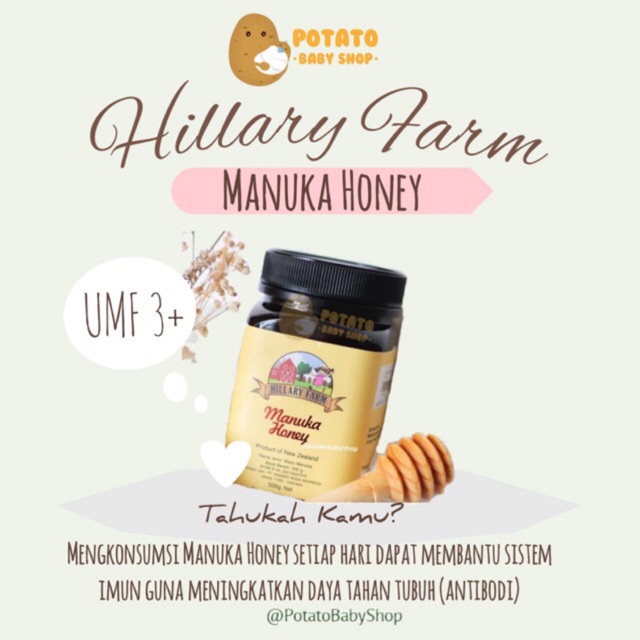 Hillary Farm Manuka Honey - Madu