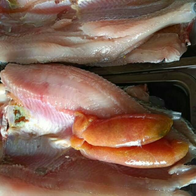 

Gabus Fillet dari 1 kg Gabus Hidup langsung di Frozen “Pulo Mawar”